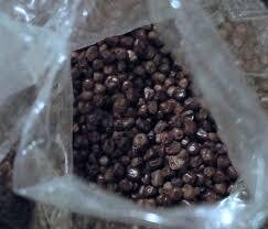 KORERIMA BLACK CARDAMOM (SEED)