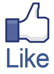 Facebook Likes