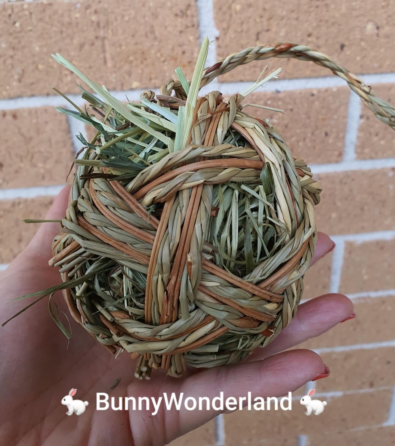 Braided + Willow Ball with Timothy Hay