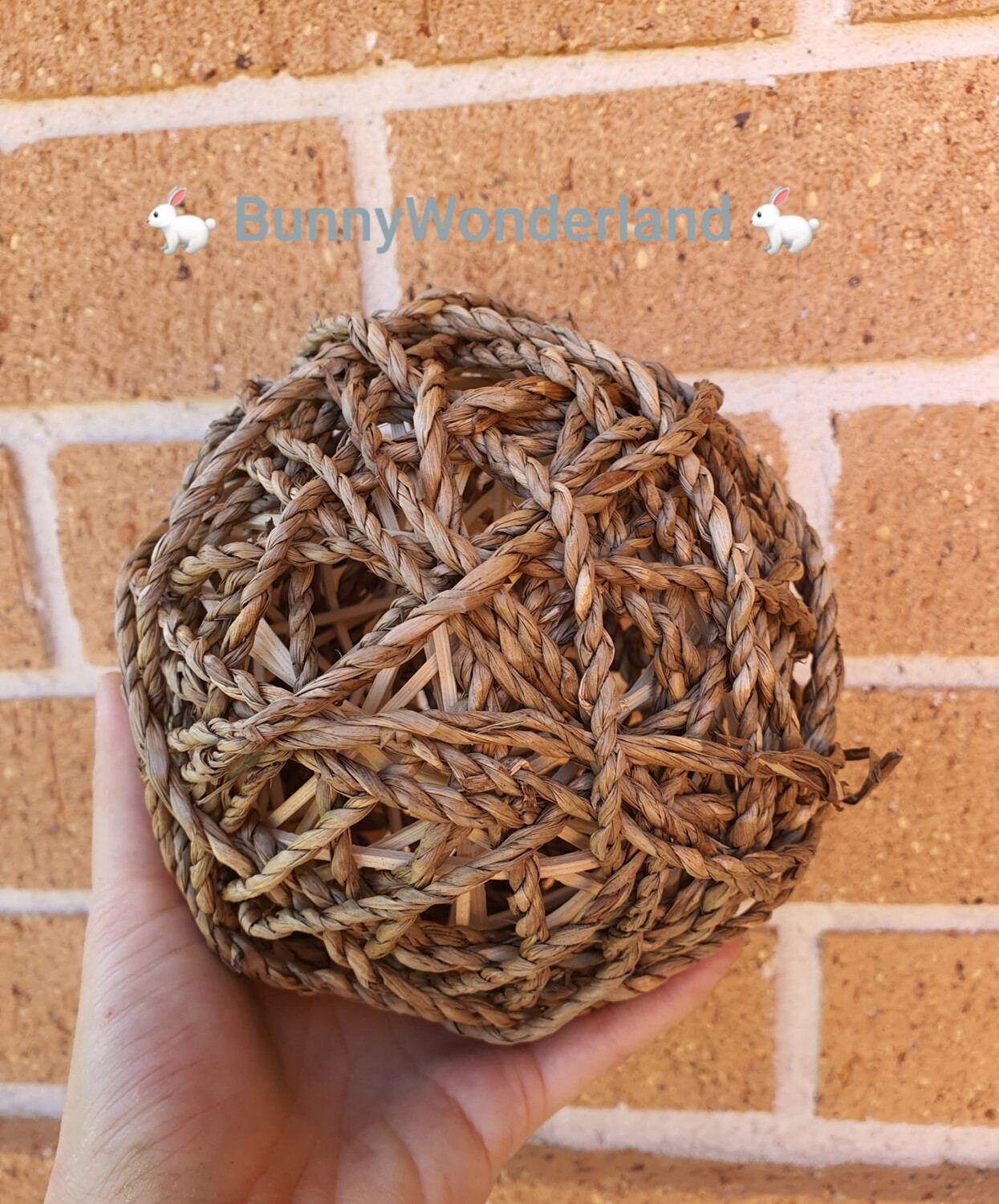 Large Natural Seagrass Ball 15cm