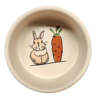 Ceramic Rabbit and Carrot Creamy Color Bowl