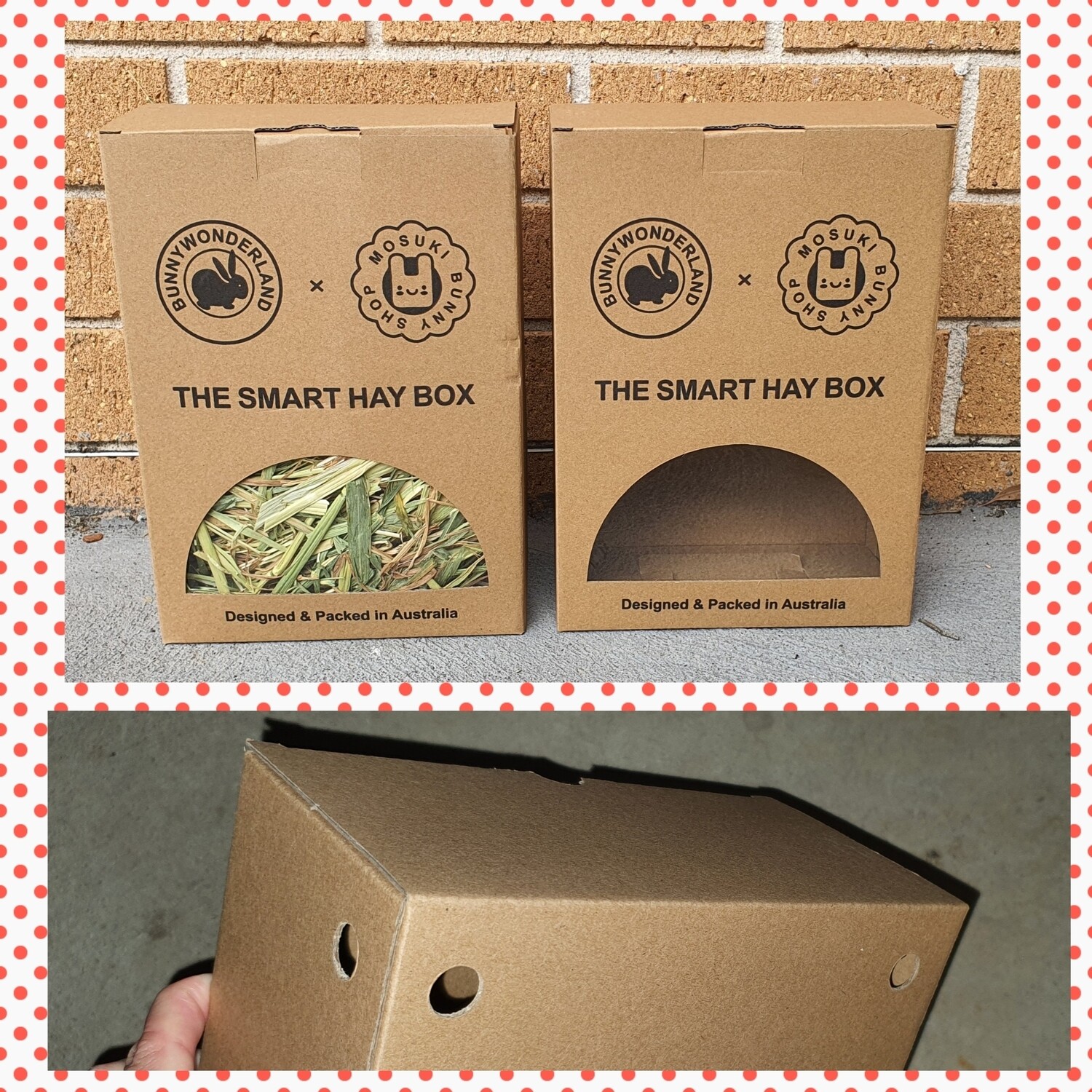 The Smart Hay Box (Comes in Empty or Pre-filled)