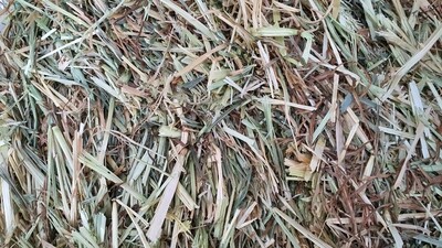 Meadow Rye Grass Hay 1kg 