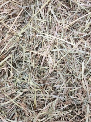 Meadow Rye Grass Hay 2.5kg