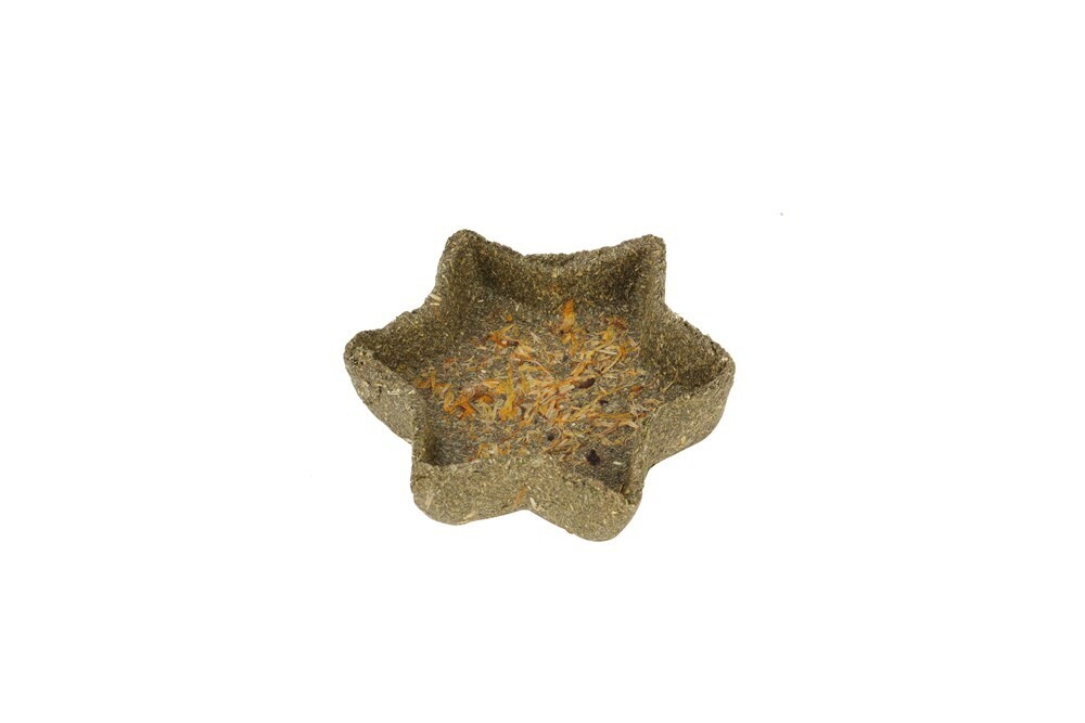 Nature Island Chew &#39;n&#39; Play Timothy Star Dish