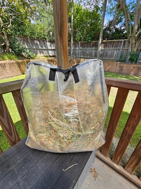Oaten Hay 5kg (Pick up only)