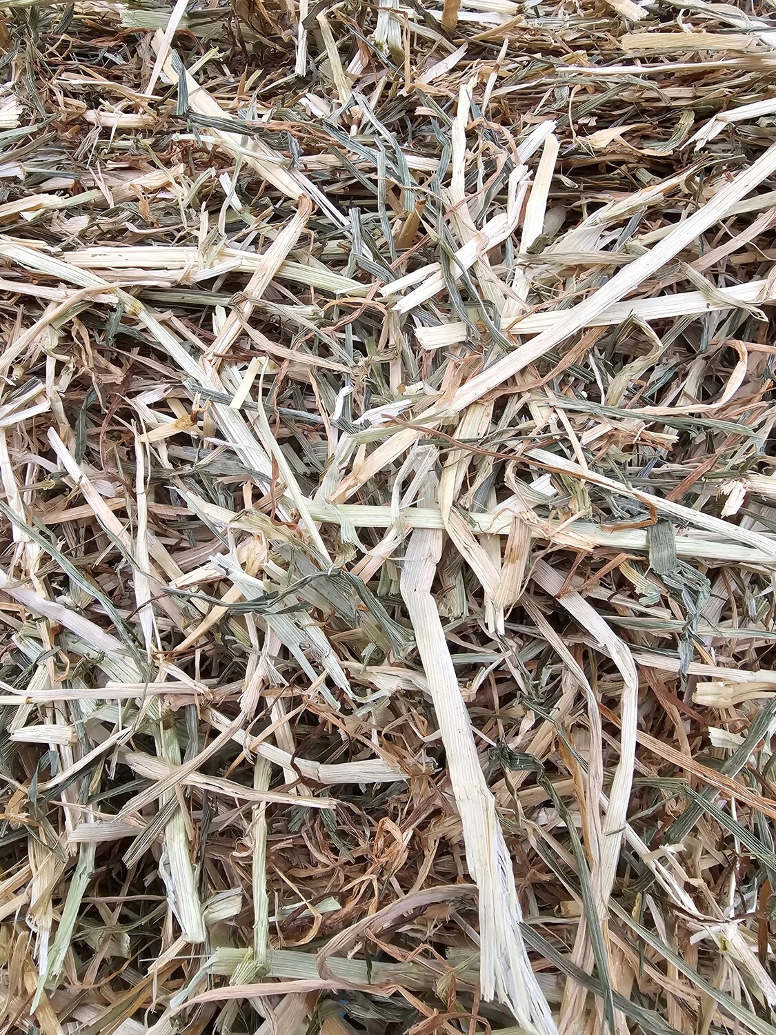 Meadow Rye Grass Hay 1kg 