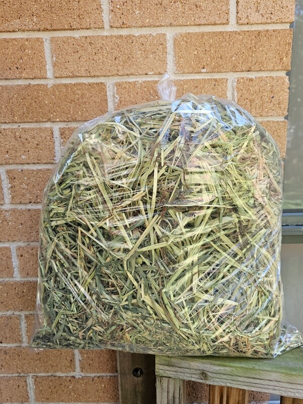 Oaten Hay 1kg bag 