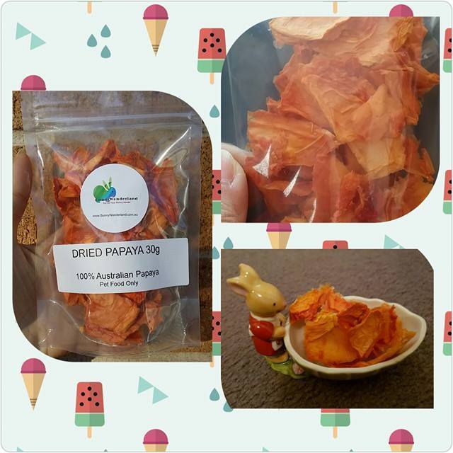 Natural Dried Papaya 50g