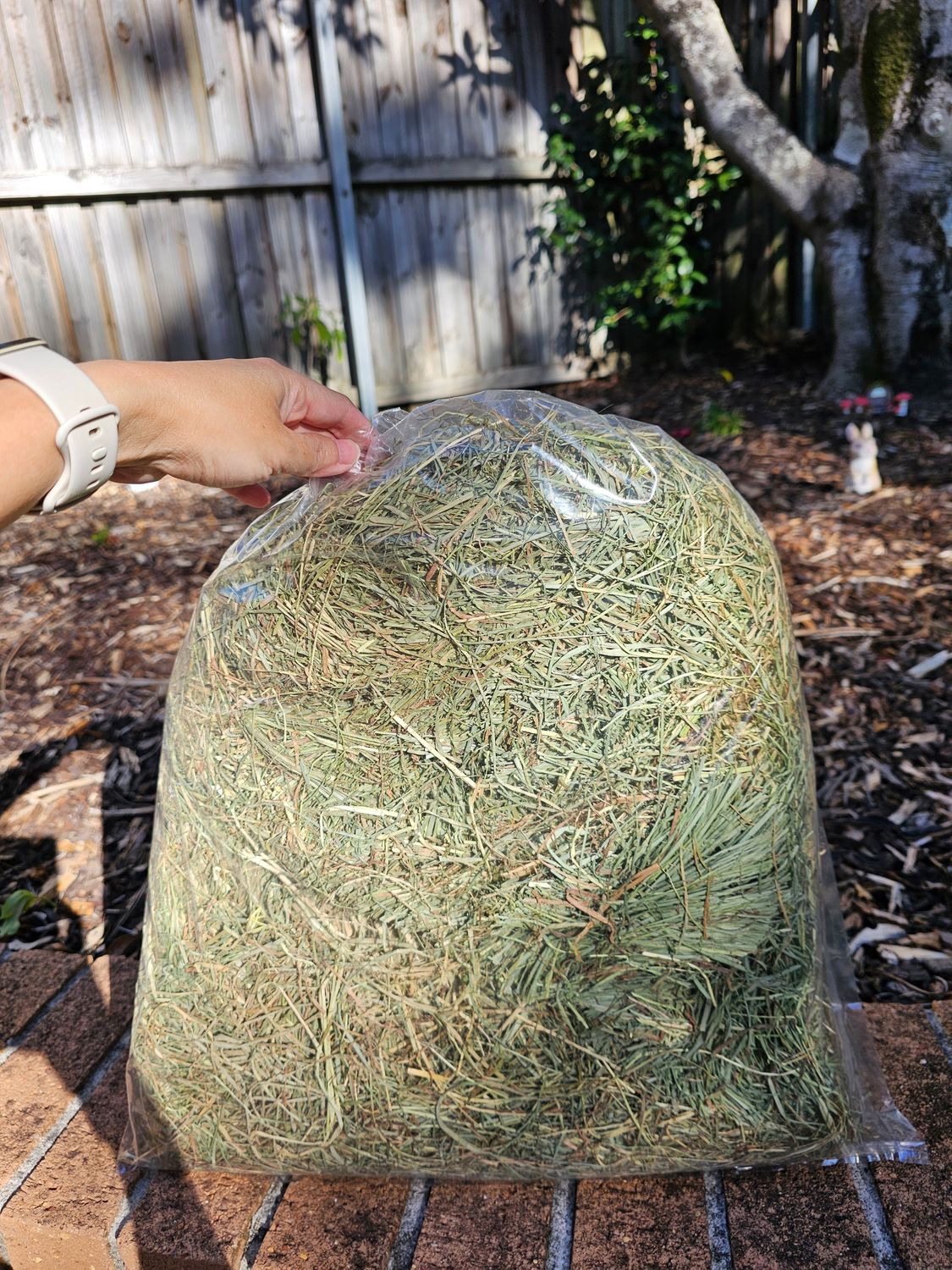 Teff Hay 1kg