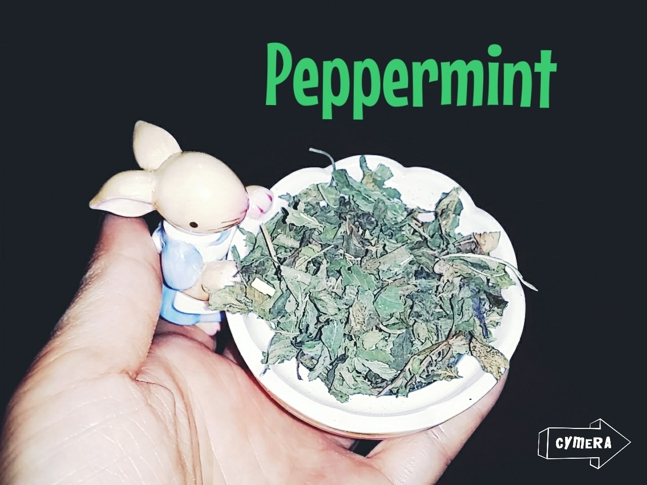 Dried Peppermint