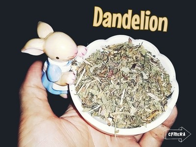 Dried Dandelion