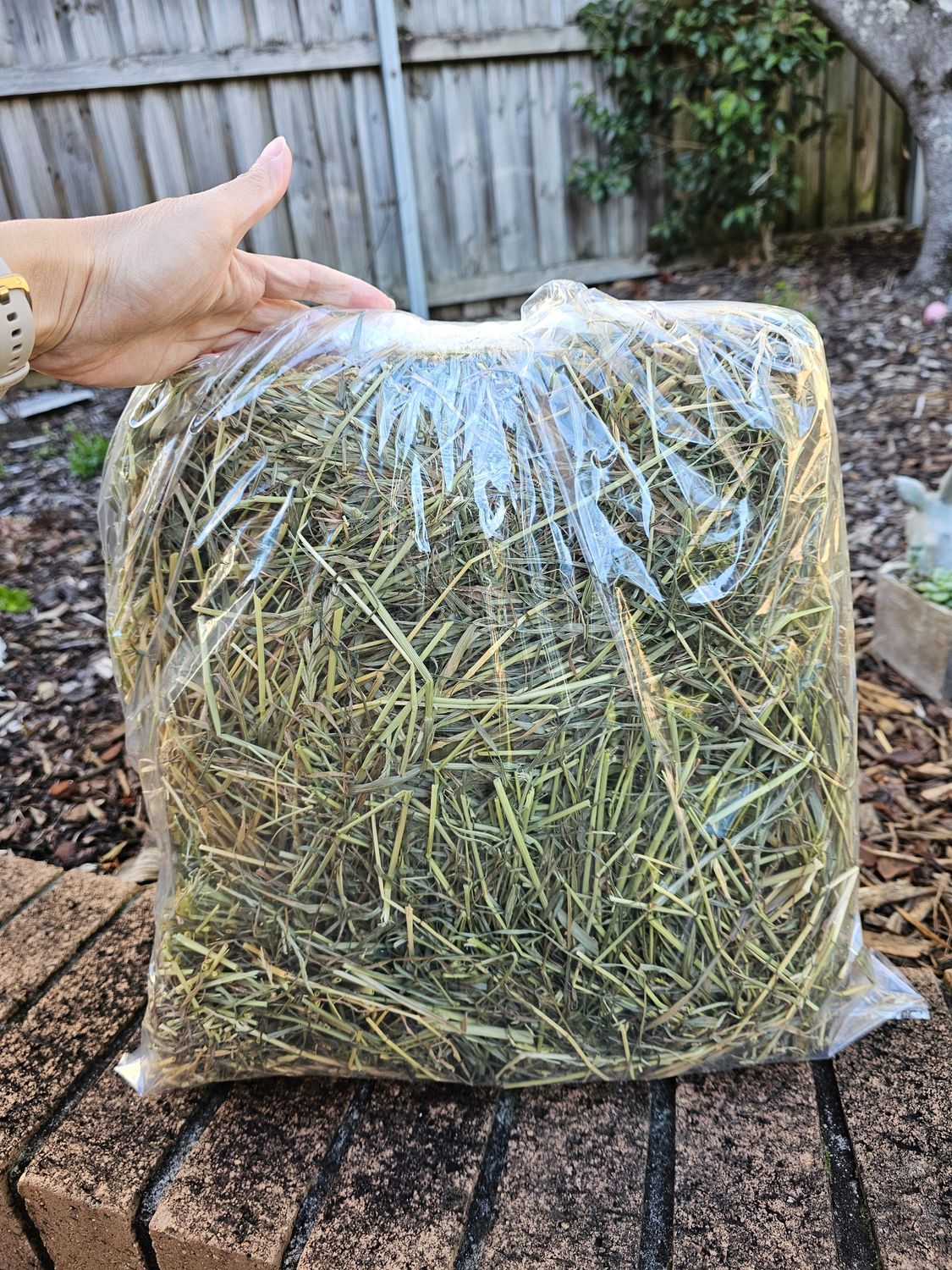 Meadow Rye Grass Hay 1kg 