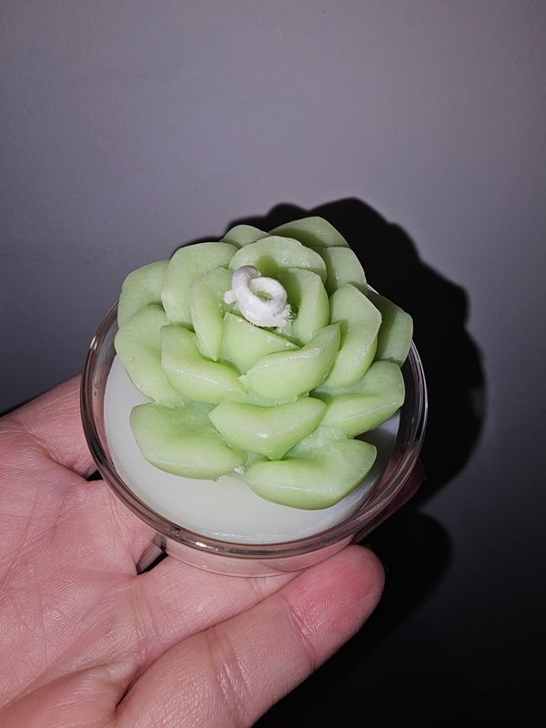 Scented Green Succulent Shape Candle 
