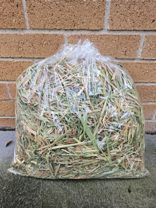 Oaten Hay 1kg bag 