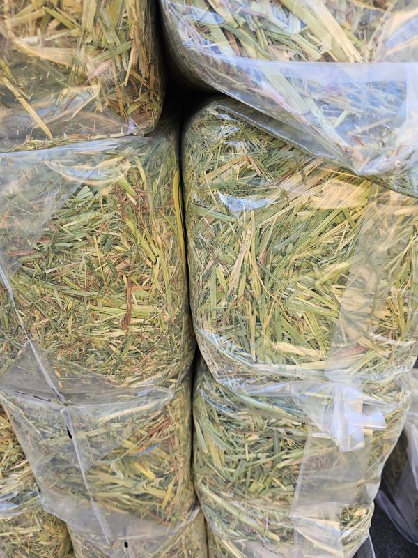 Torwood Oaten Mini Bale 22L 