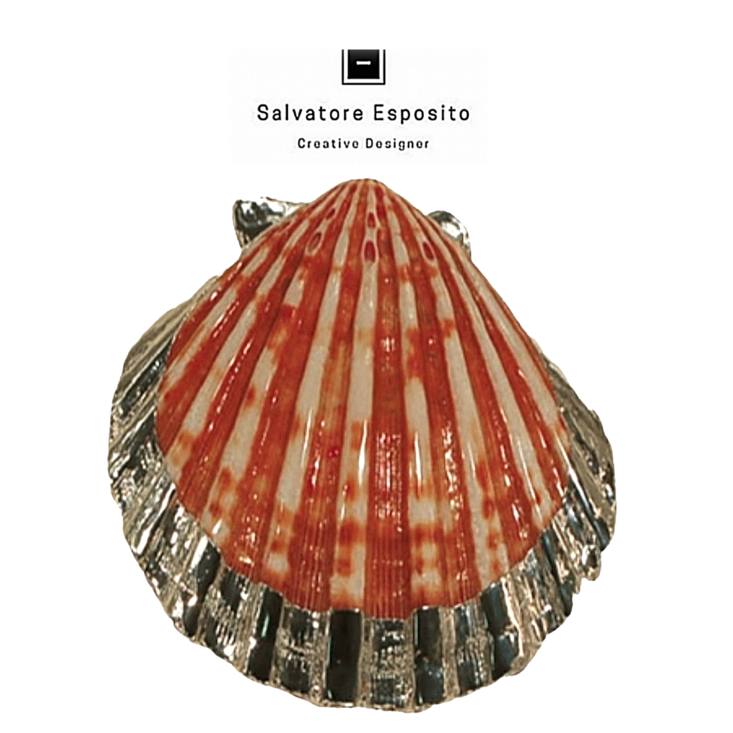 Conchiglia Pecten nodosus in argento
