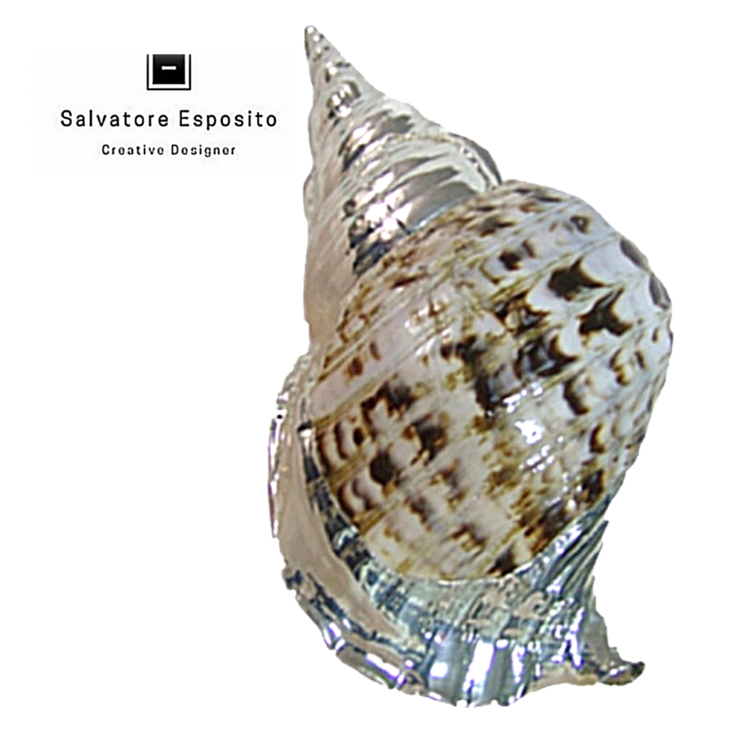 Conchiglia Charonia Tritonis in argento