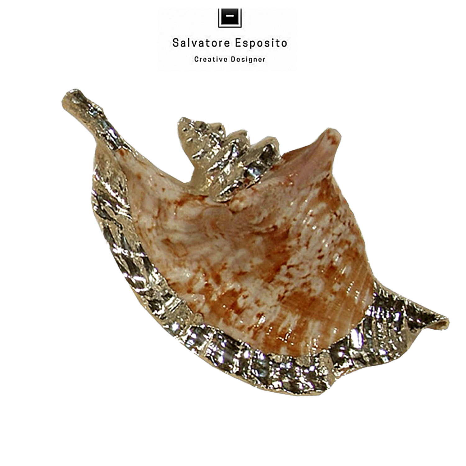 Strombus gallus rivestito con lamine di puro argento