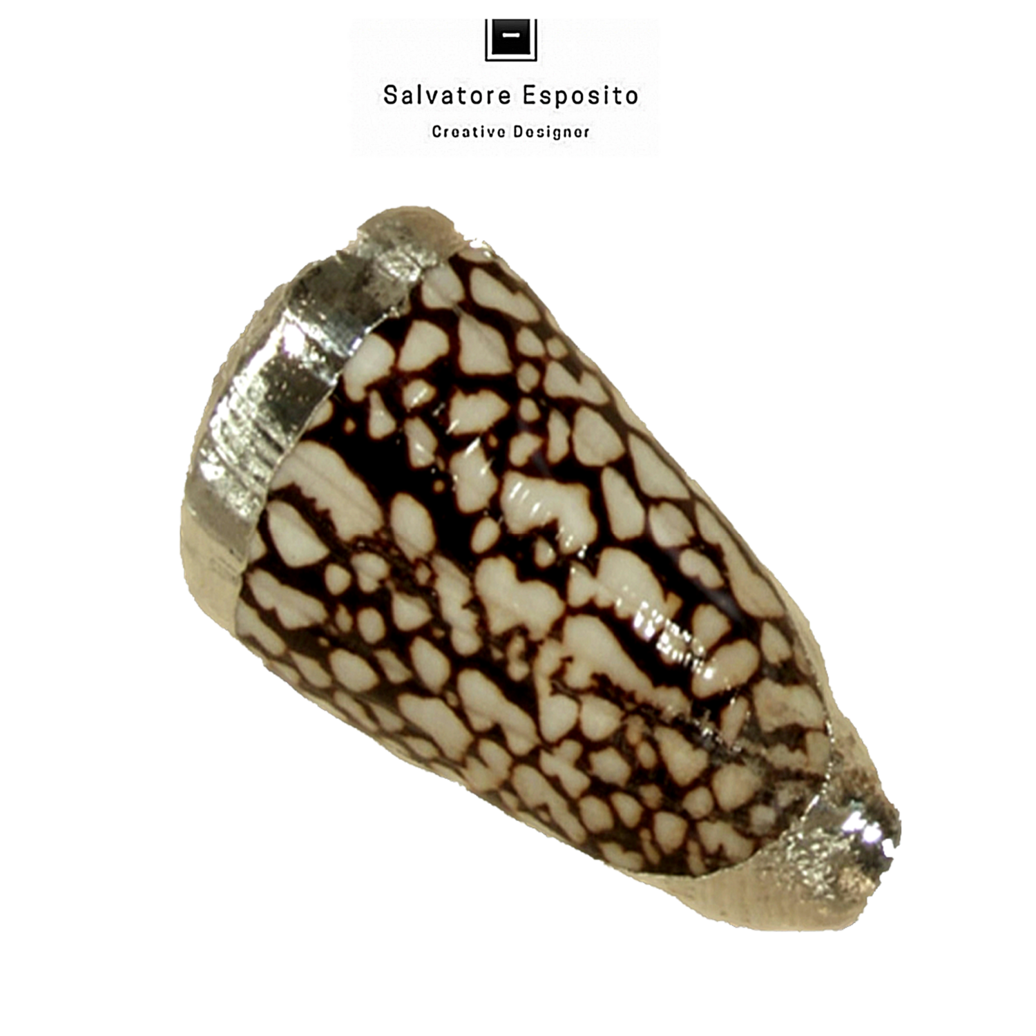 Conus Marmorius bordato con una lamina di puro argento