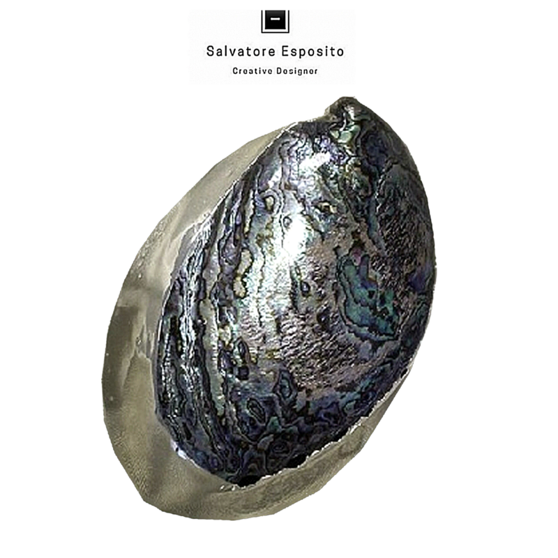 Haliotis Paua shell rivestito con un lamina di puro argento