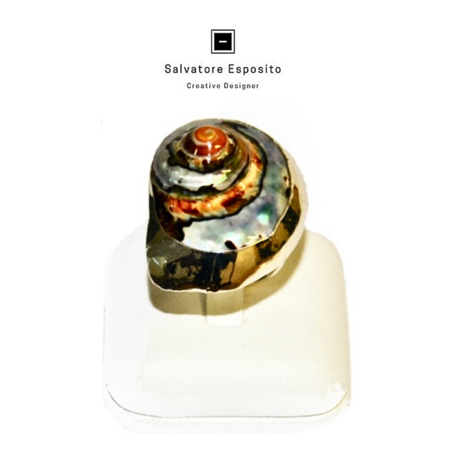 Anello conchiglia naturale