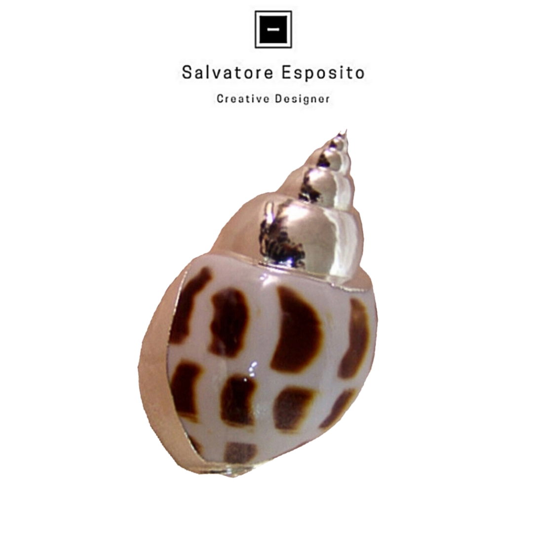 Conchiglia in argento Babylonia aerolata