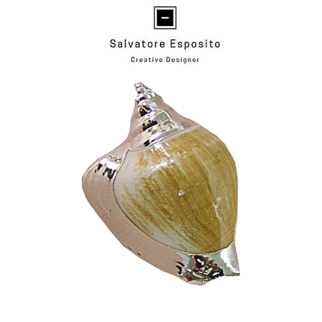 Conchiglia in argento Strombus canarium