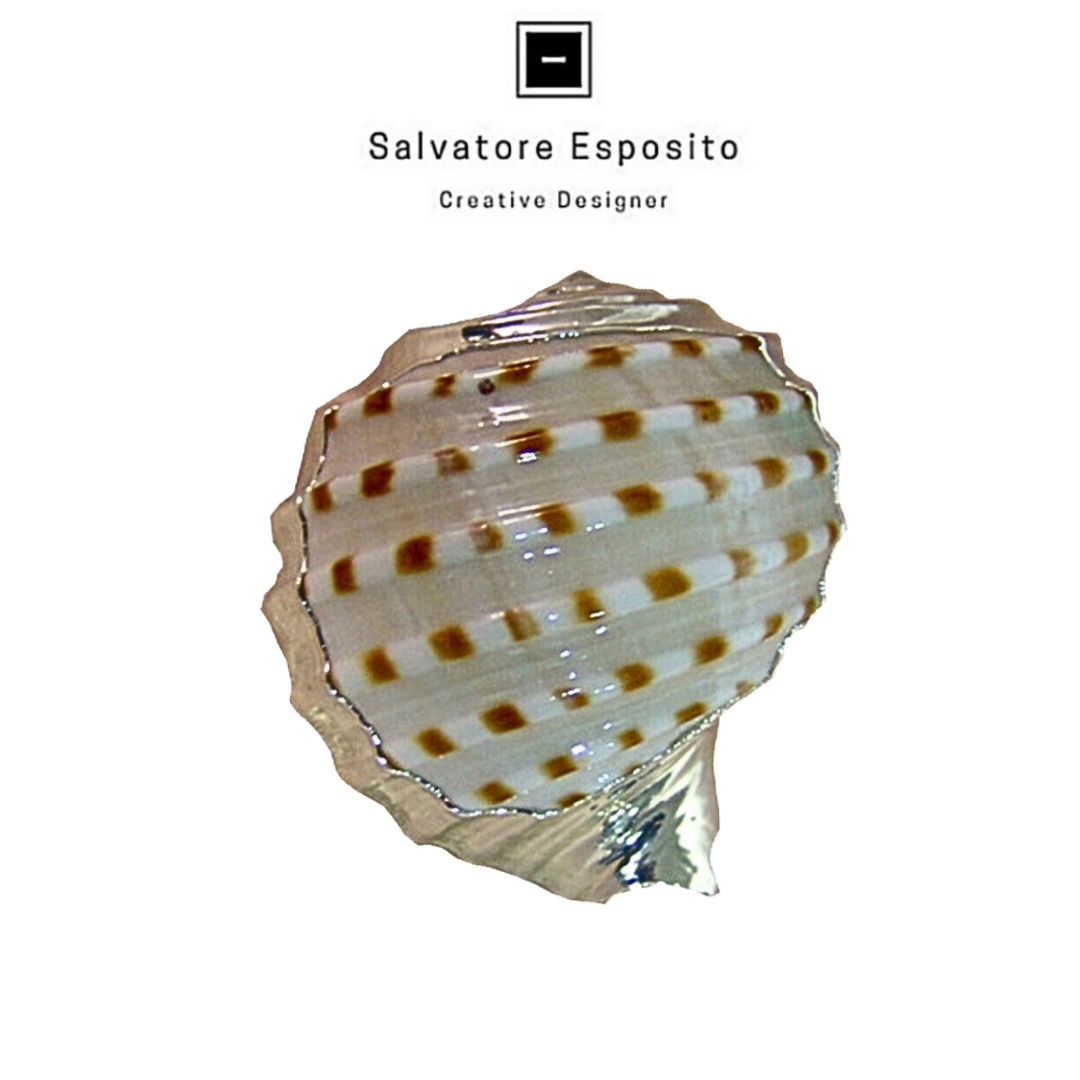 Conchiglia in argento Tonna tessellata