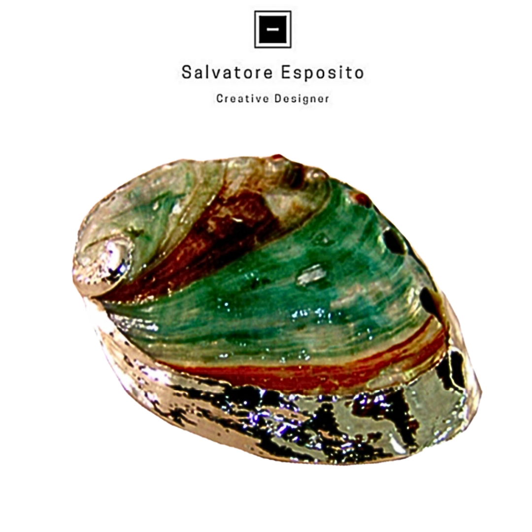 Conchiglia in argento Haliotis arcobaleno