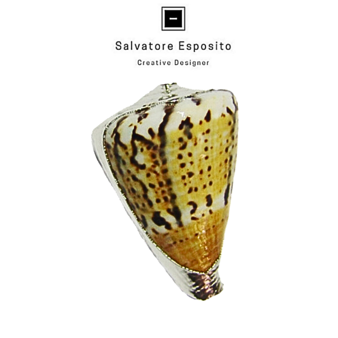Conchiglia in argento Conus Capitaneus