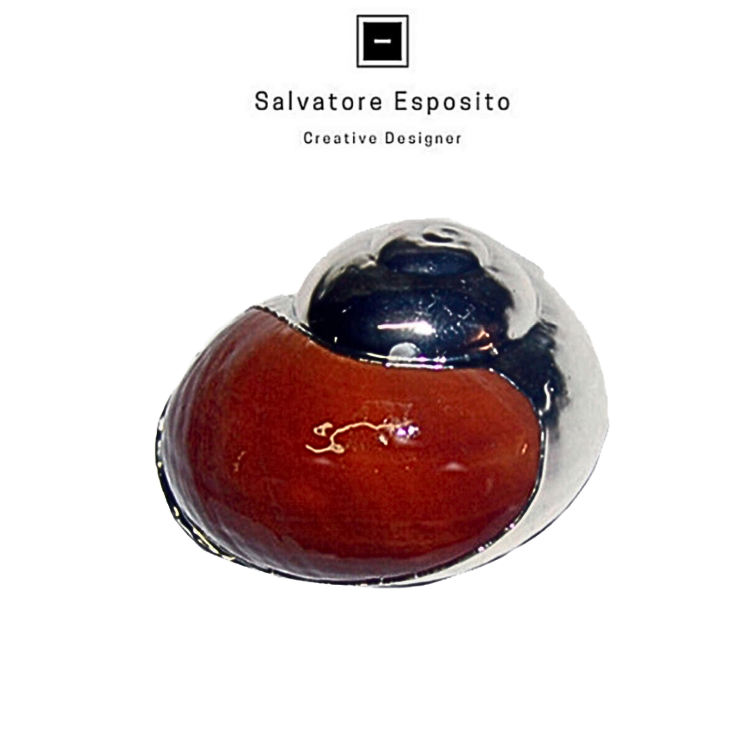 Conchiglie in argento Otala marrone