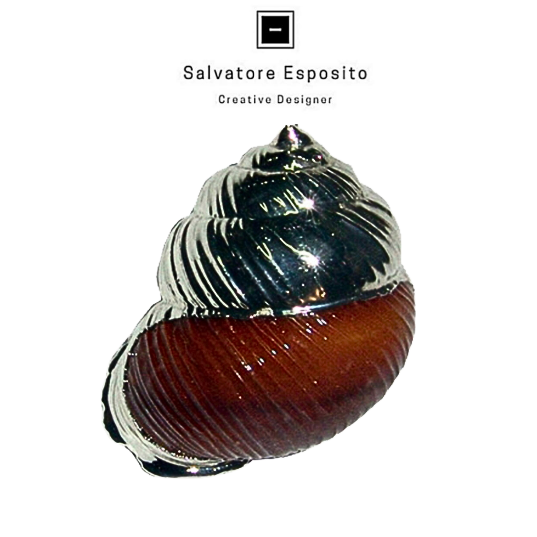 Conchiglie in argento Camaena marrone