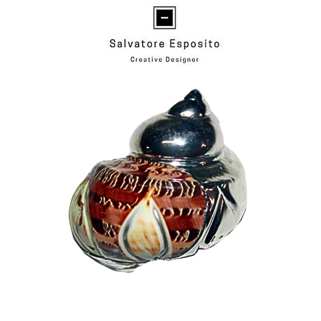 Conchiglie in argento Turbo petholatus oval