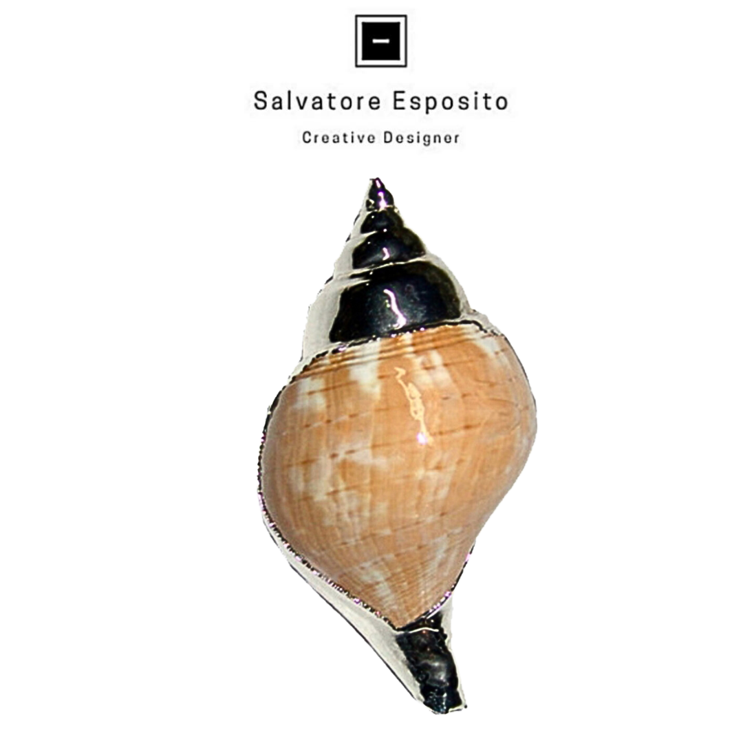 Conchiglie in argento Fasciolaria tulipa