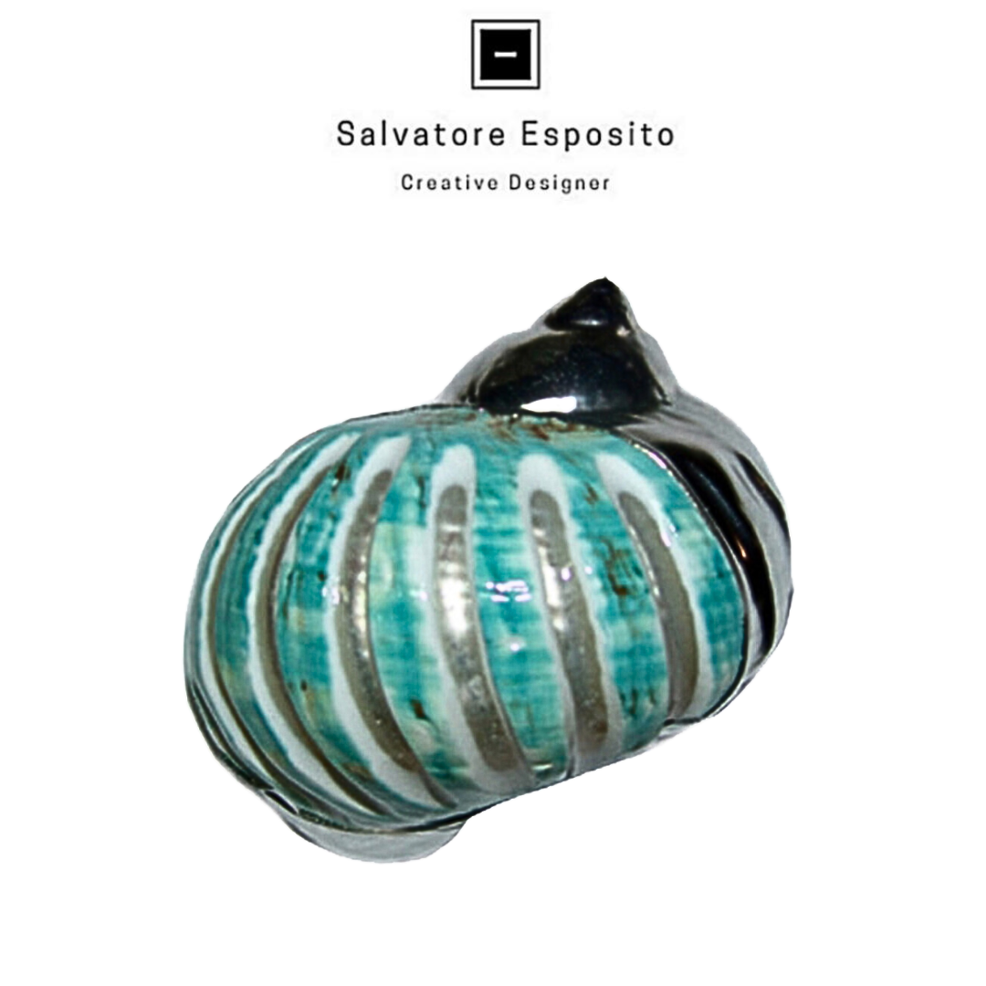 Conchiglie in argento Turbo africa banded
