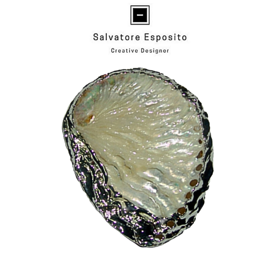 Conchiglie in argento Haliotis white abalone