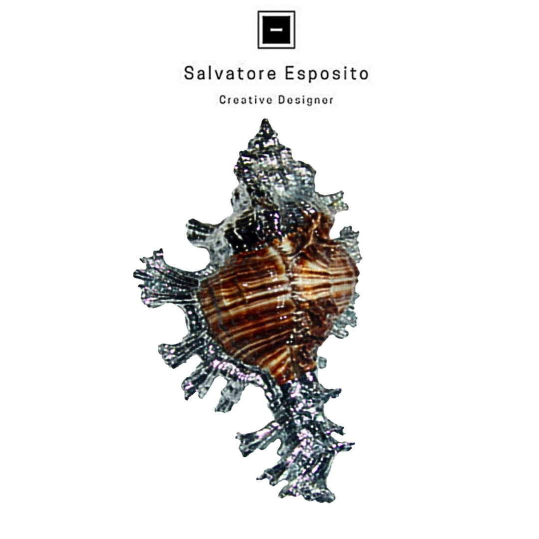 Murex Palmarosa in argento