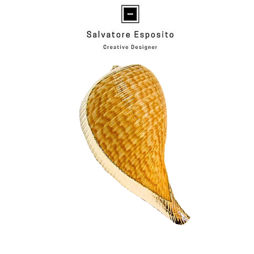 Conchiglie in argento Figus gracilis