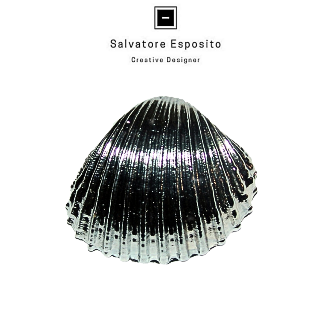 Conchiglie in argento Arca white