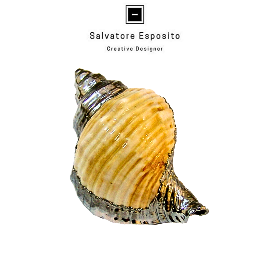 Conchiglie in argento Linatella Gaudata