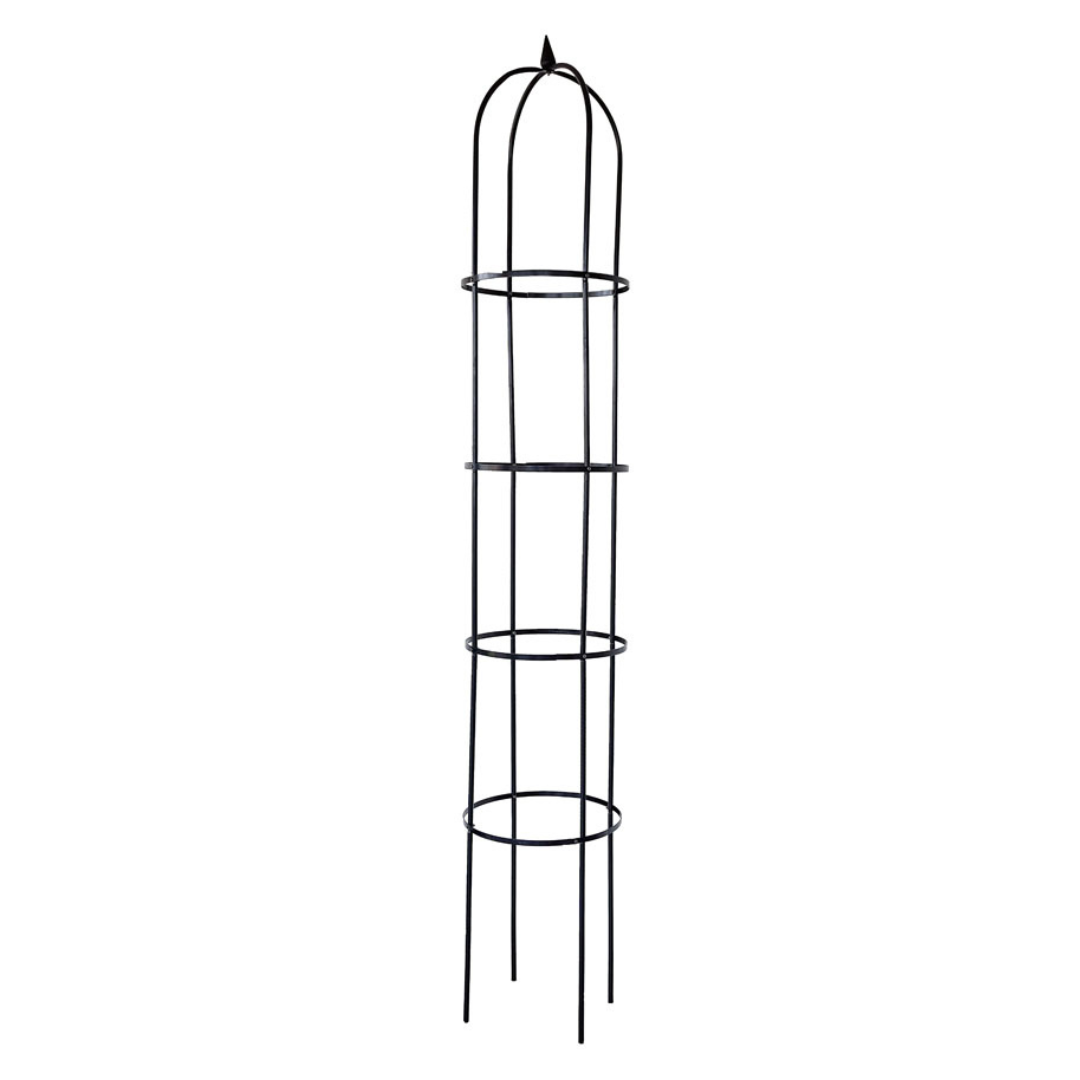 Rankhilfe Obelisk | 240 cm H