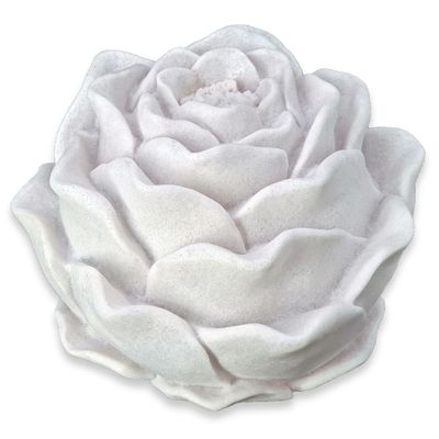 Leuchte Rose Leuchte Rose