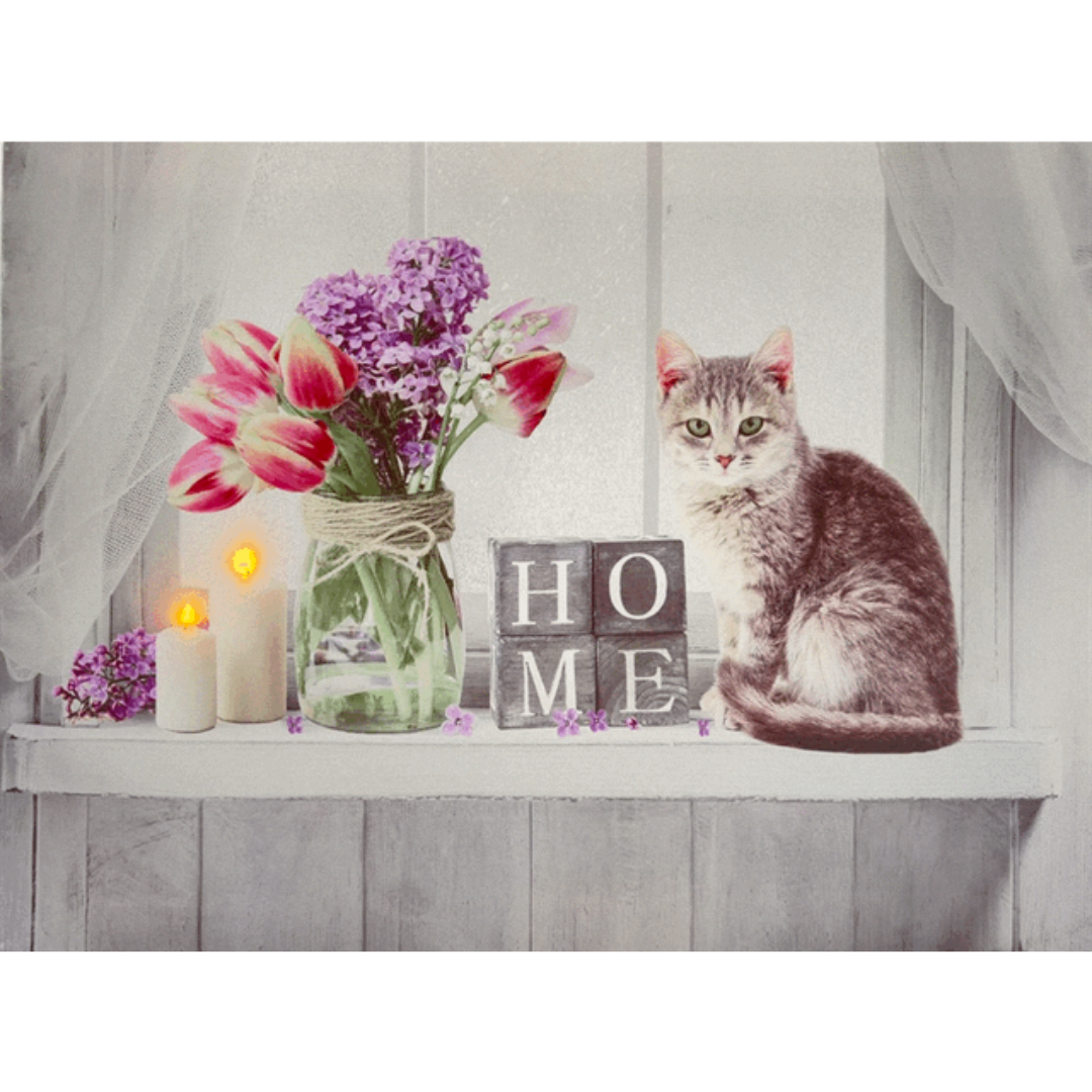 Wandbild mit Beleuchtung | Katze | LED | 40 cm B