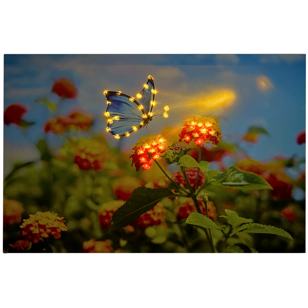 abc HOME – LED Wandbild Blumenfeld – Leinwandbild mit Schmetterling – 60x40 cm