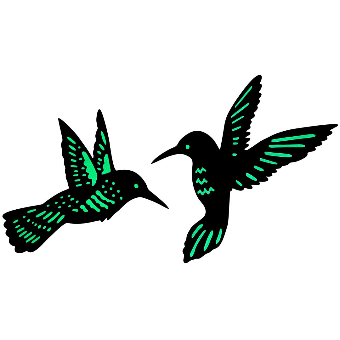 Wanddeko Kolibri | 2er Set