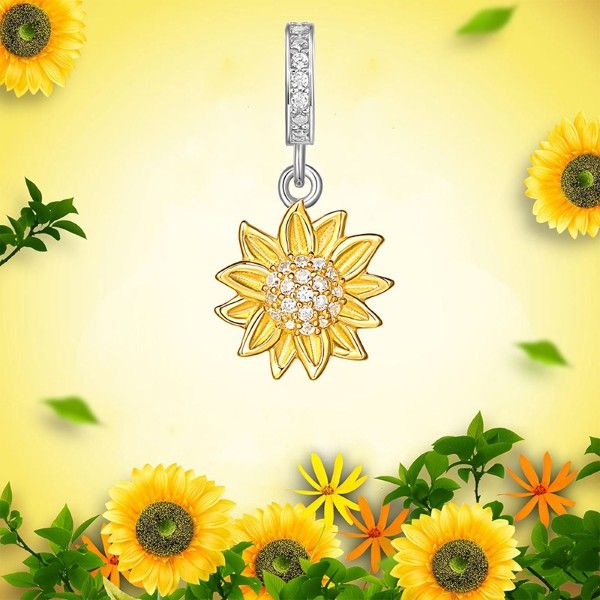 Charms