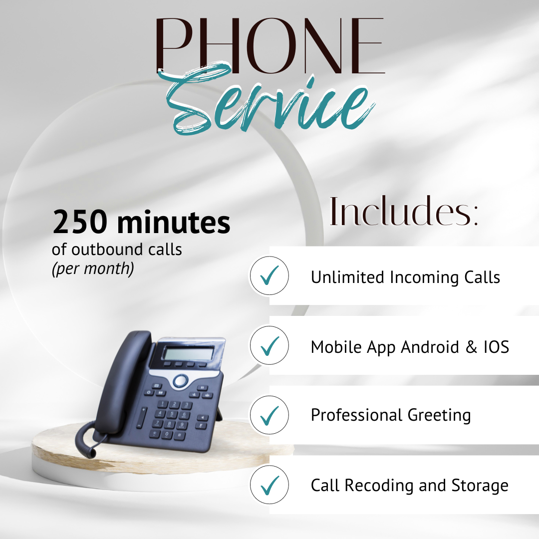 Professional Phone Service + Setup