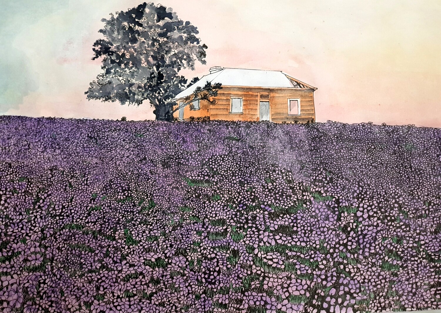 "Derelict House near Armidale in a paddock of Patterson's Curse"  -High Quality Art Print