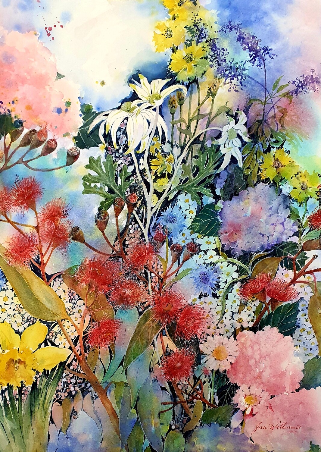 "Australian Garden floral Colours" -High Quality Art Print